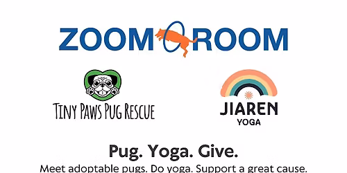 Dog Yoga with Tiny Paws Pug Rescue at Zoom Room Santa Clara