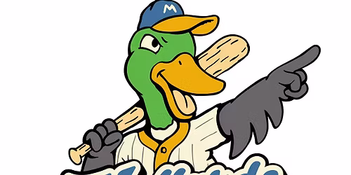 \u26be\ud83d\udc3e Batter up, Golden lovers! \ud83d\udc3e\u26be