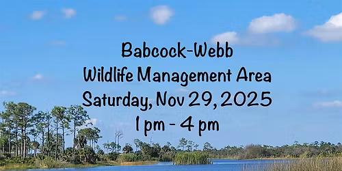 Painting & a Picnic at Babcock-Webb Wildlife Management Area