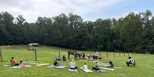 Mindful Movement with the Herd