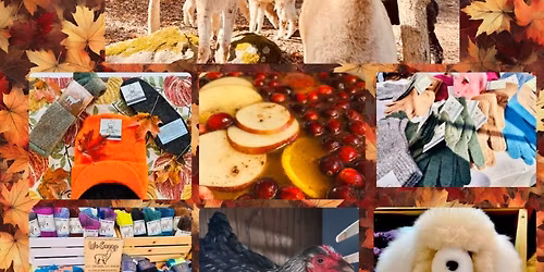 November Cider Tours