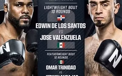 ZUFFA BOXING 08