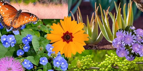 Pop-up Plant Sale!