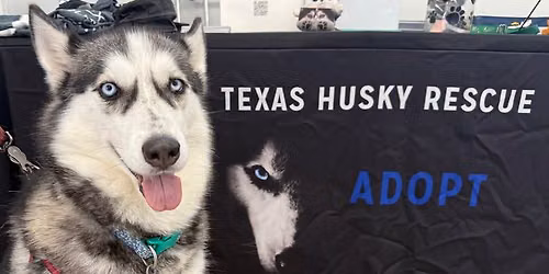 Texas Husky Rescue San Antonio Meet and Greet