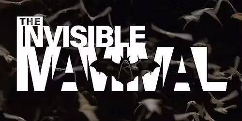 The Invisible Mammal Film Screening