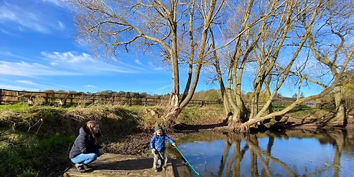 Wild Willow Christmas Holiday Camp