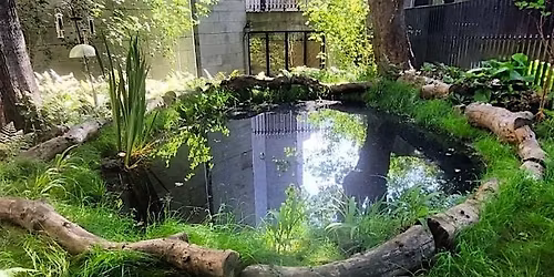Make a Biodiversity Pond with  Colm Ennis, from Trinity University.
