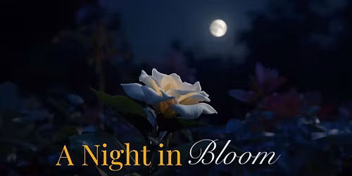 A Night in Bloom