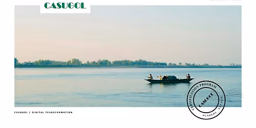 Certified Digital Transformation Professional -  AI Digital Transformation