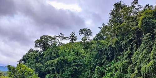 \u09a4\u09bf\u09a8\u09cd\u09a6\u09c1, \u09b0\u09c7\u09ae\u09be\u0995\u09cd\u09b0\u09bf \u09b9\u09df\u09c7 \u09ac\u09be\u0982\u09b2\u09be\u09b0 \u09a8\u09be\u09df\u09be\u0997\u09cd\u09b0\u09be \u09a8\u09be\u09ab\u09be\u0996\u09c1\u09ae\u09c7 \u09b0\u09be\u09a4\u09cd\u09b0\u09bf\u09af\u09be\u09aa\u09a8\u09c7 GDM(09)