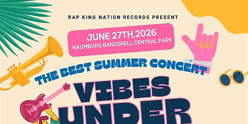 Vibes Under The Sun Concert
