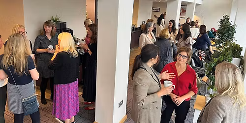 NEWCASTLE City Ladies Networking November Meeting