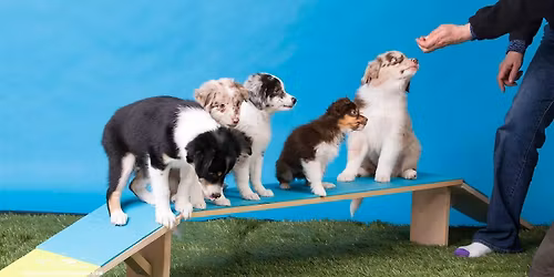 Personal Consultation