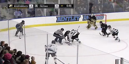 Army Black Knights at Bentley Falcons Mens Hockey