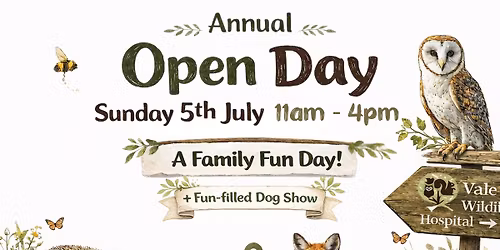 Vale Wildlife Hospital's Annual Open Day