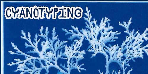 Make a Cyanotype!