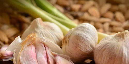 \t Master Gardener Presentation - All About Garlic