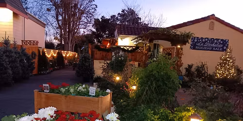 Christmas Winter Wonderland