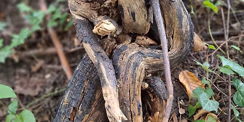 Radionica konstelacija u\u017eivo, Zagreb