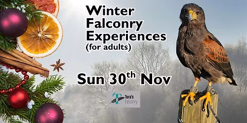 Winter Falconry Experience