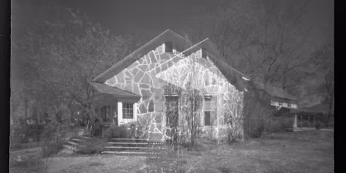 Ozark Giraffes at Mount Sequoyah