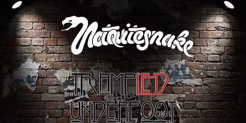 A Night of Classic Rock