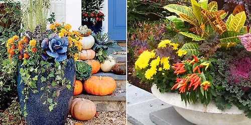 SAN DIEGO: Fall Container Gardening with Constanze