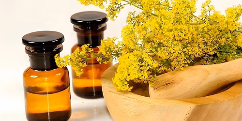 Arzneipflanzen-Workshop in Wien: Pflanzliche Wirkstoffe aus der Natur