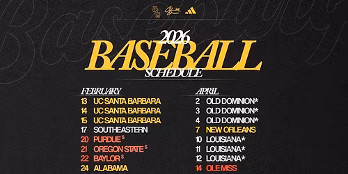 Southern Miss Golden Eagles vs. Georgia Southern Eagles
