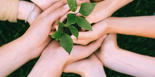 Reimagining Advisory and Grade Teams in Middle and High School