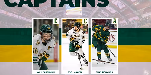 Northeastern Huskies at Vermont Catamounts Mens Hockey