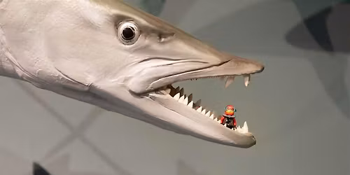 Search | LEGO\u00ae Minifigures Let Loose at MAGNT!