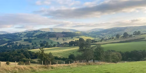 Penpont Project Community Action Day - Winter Tree Planting