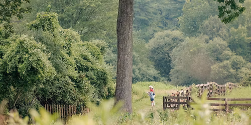 Summer Stroll