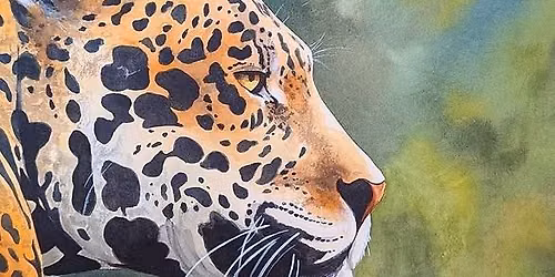 Intermediate Watercolors - Take watercolor skills further by layering, breaking down images, & more!