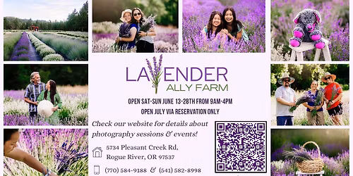 Lavender Festival June 2026