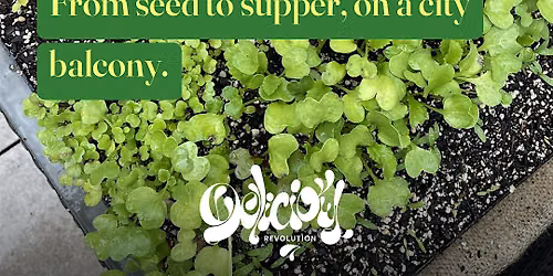 Sharing the seedlings