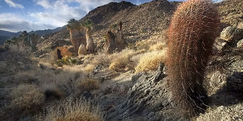 Out in the Monument: Santa Rosa and San Jacinto Mountains