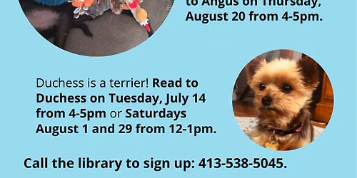 Read to a Dog - Angus the Greyhound