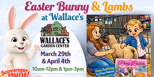 Easter Bunny & Lambs