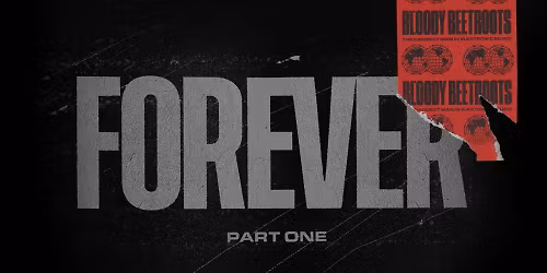 The Bloody Beetroots in Cape Town