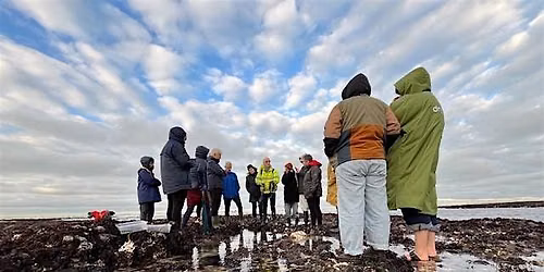 Seaweed & Their Secrets - Fulsam Rock, Margate 2026