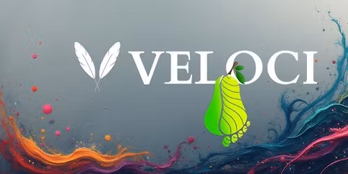 First Tuesday Run with Veloci