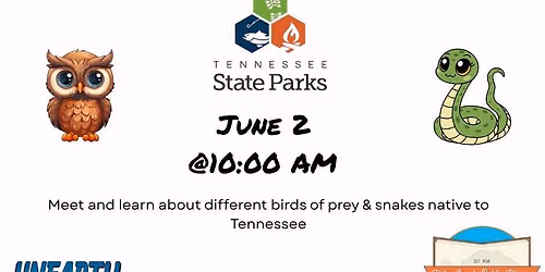 Birds of Prey and Snakes