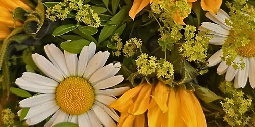 Kjerringtorg, Gubbetorg og Lokalmattorg