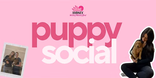 Puppy Social | Sydney Working Holiday Girls