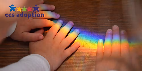 LGBTQ+ CCS Adoption Online Information Event