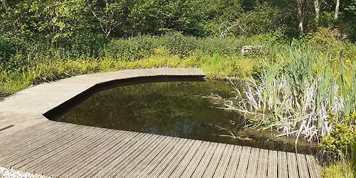 Blashford Lakes: Family Pond Dipping Morning