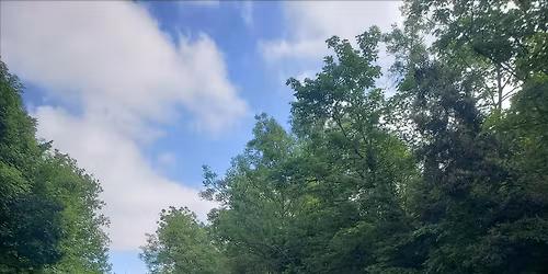 Kweens and Kings Cycle group To Hackney Marshes and Beyond