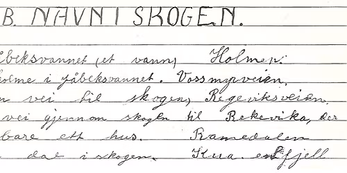 Historier p\u00e5 Ballastbrygga: Fra Lasken og Gumpen til Kua og Kaffihauen \u2013 stedsnavn rundt Mandal.